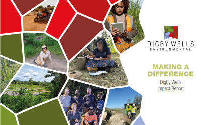 Measuring What Matters: The Digby Wells Impact Report